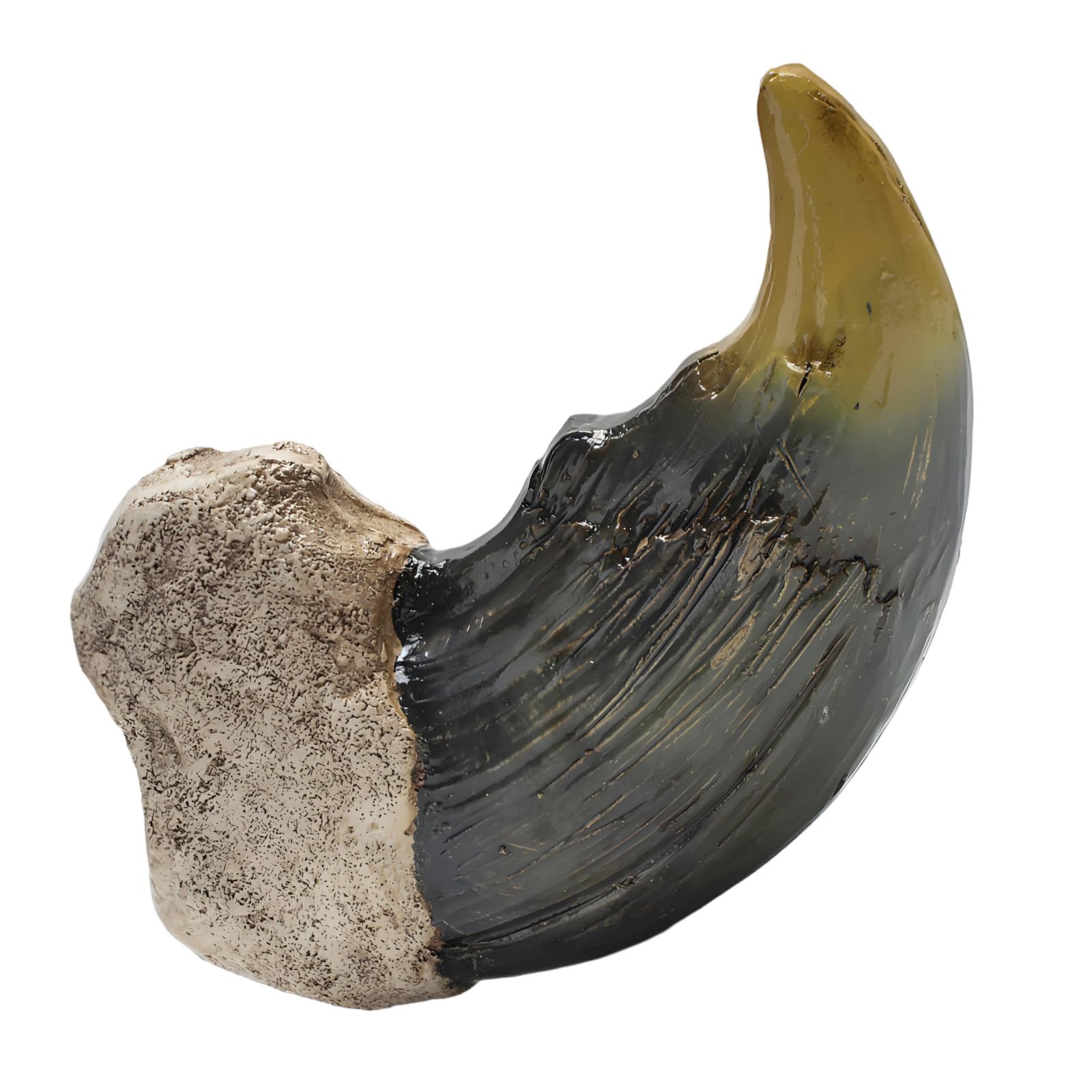 Unique Resin Ornament Realistic Fossils for Bookshelf Decor and Scientific Resin Decorative Figurine