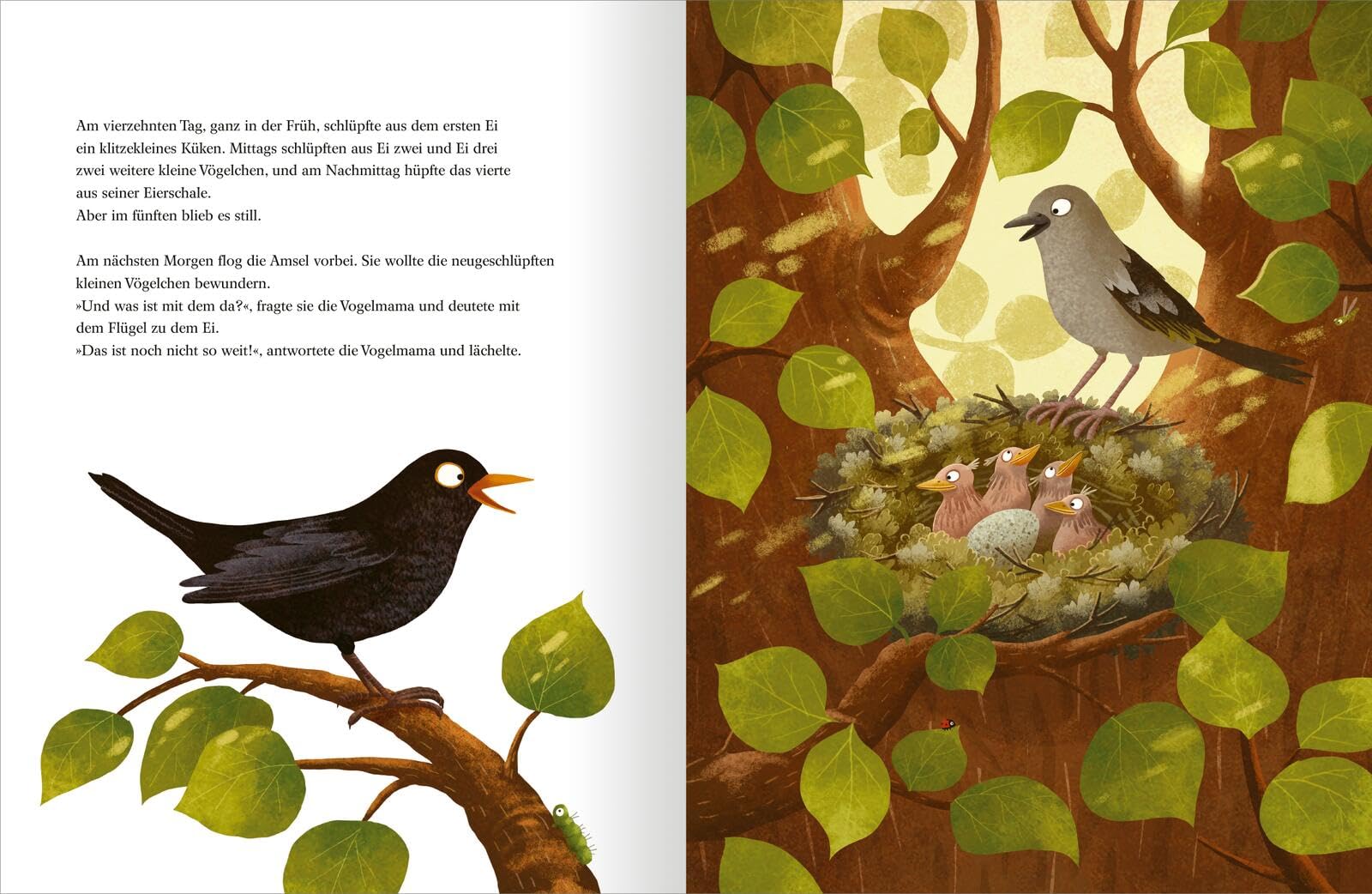 Morgen bin ich mutig: Einfühlsames Bilderbuch über Sorgen, Ängste, Mut & Selbstvertrauen | für Kinder ab 3 Jahren (Biderbuch-Duo Sabine Bohlmann und Emilia Dziubak)