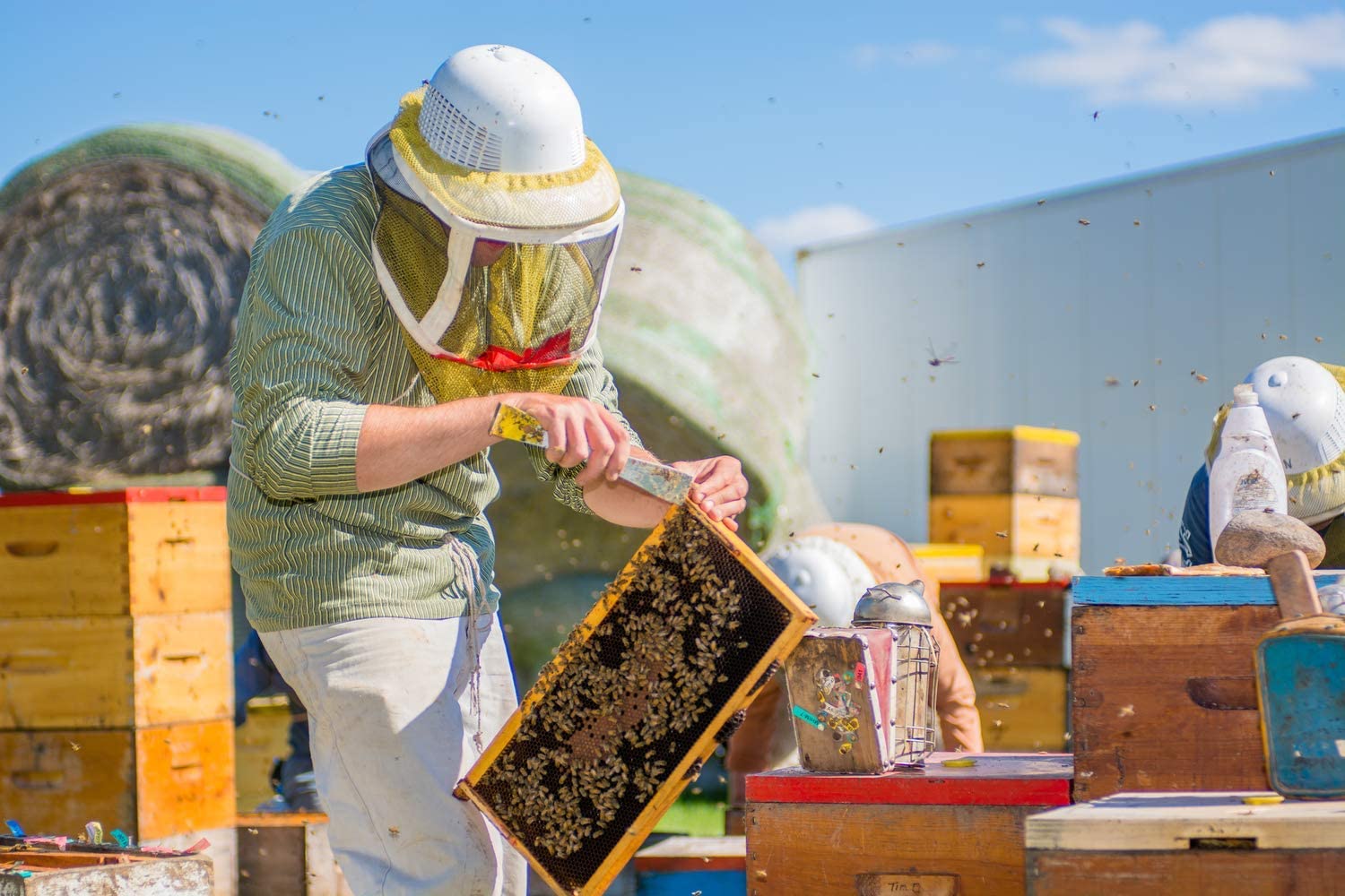Wendell Estate Honey 1Kg