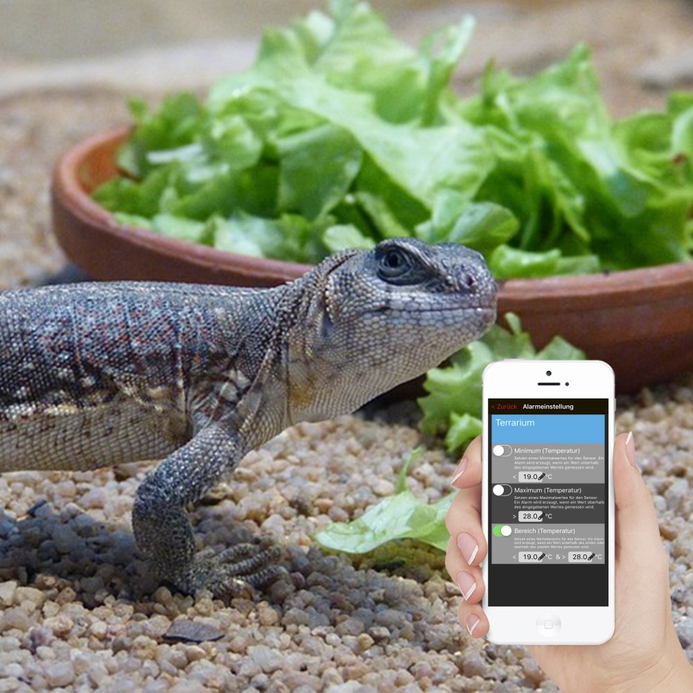 Technoline Temperaturüberwachung, Luftfeuchteüberwachung von Terrarium/Gewächshaus, MA 10200 + Gateway, Set, Mobile Alerts, weiß, 3.8 x 2.1 x 12.8 cm