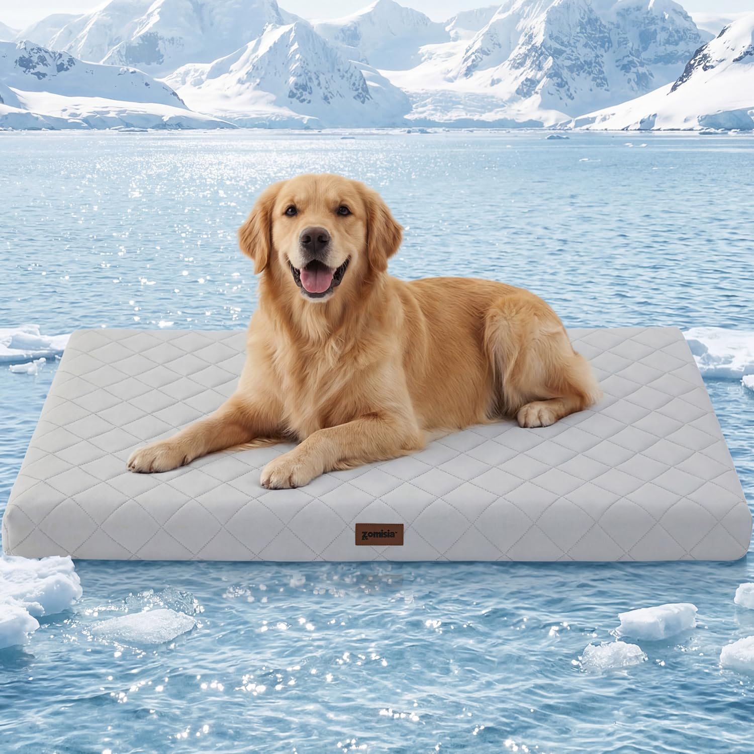 ZOMISIA Orthopedic Cooling Dog Bed