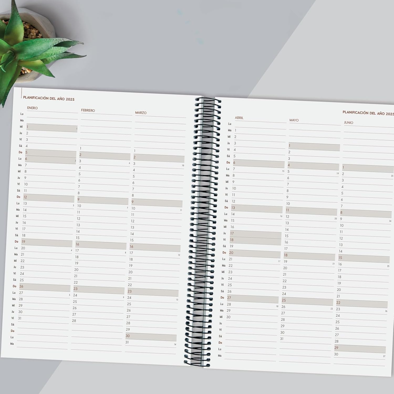Finocam - Spiral Agenda Year 2025 1 Day Page January 2025 - December 2025 (12 months) Black Spanish