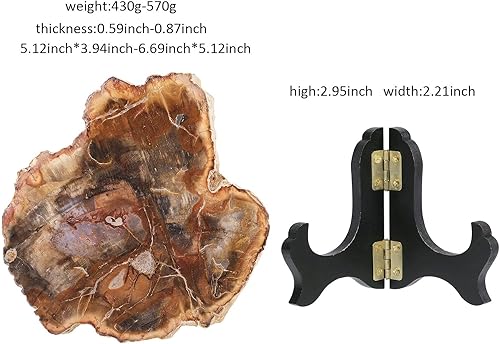 Miniatura 2 de Nupuyai Muestra de cristal de madera petrificada natural en soporte de madera exhibición de losa de piedra decorativa irregular para oficina en casa