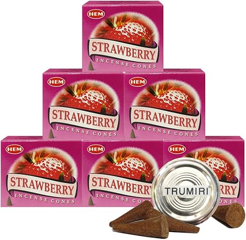 Vista 26 de TRUMIRI Paquete de soporte para cono de incienso con dobladillo de conos de incienso de copal, paquete de 6 (aproximadamente 60 conos)