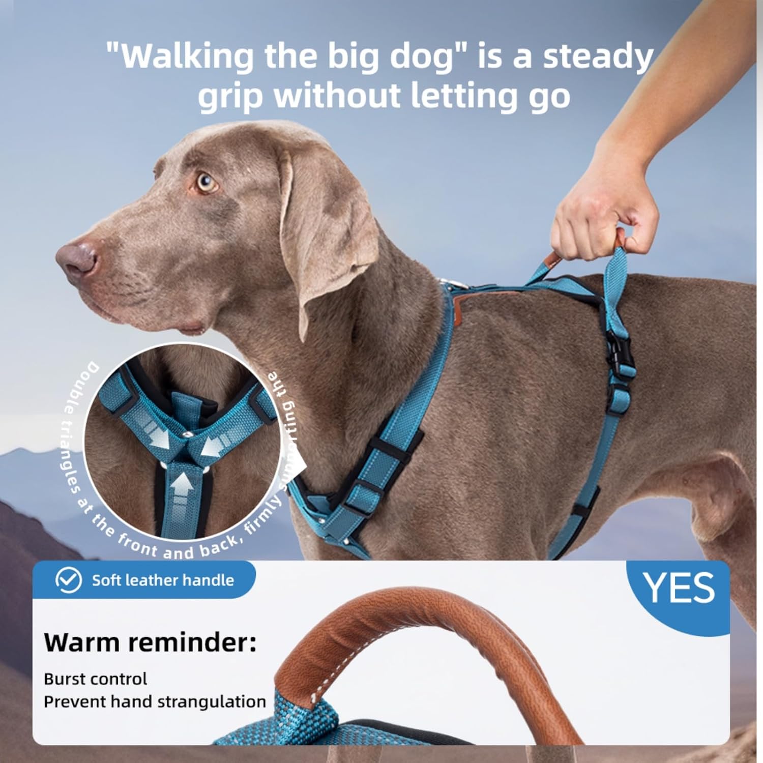 Reflective Dog Harness, Adjustable L-Shape Vest for Small Medium Large Dogs, No Pull Pet Harness for Walking and Training, Enhanced Comfort and Safety (Pack of 1 Blue, S)