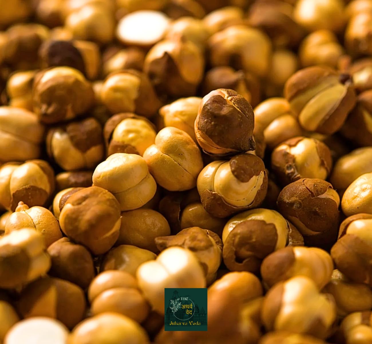 The Atharva-Veda roasted chickpeas 1.5Kg + 200gm EXTRA, Crispy desi bhuna chana, desi roasted chana, shukrawar putane, Bengal gram, bhugde chana, chane with chilka, chickapeas with skin- No Impurities