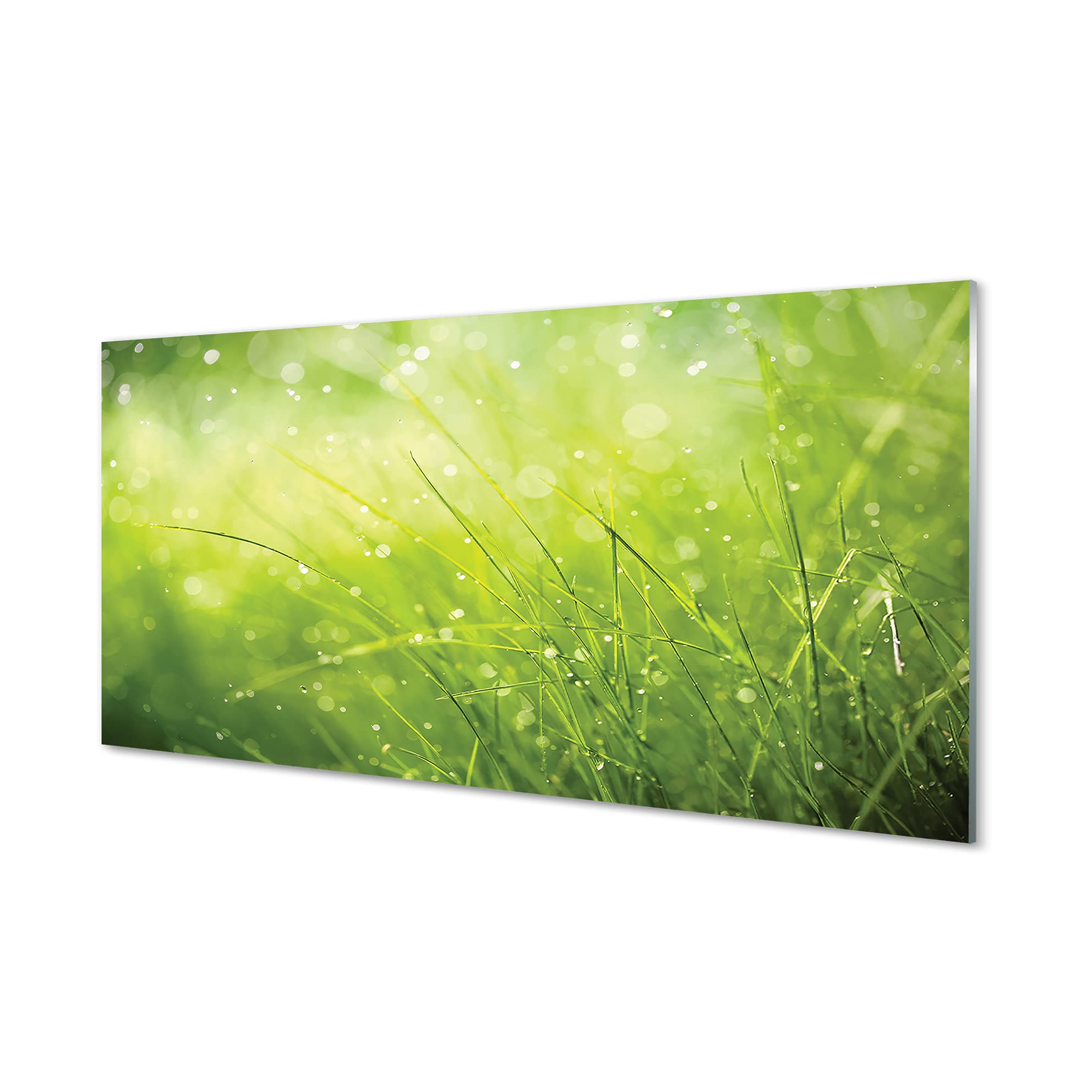 Impression sur verre Tulup 100 x 50 cm tableau décoration murale - 8