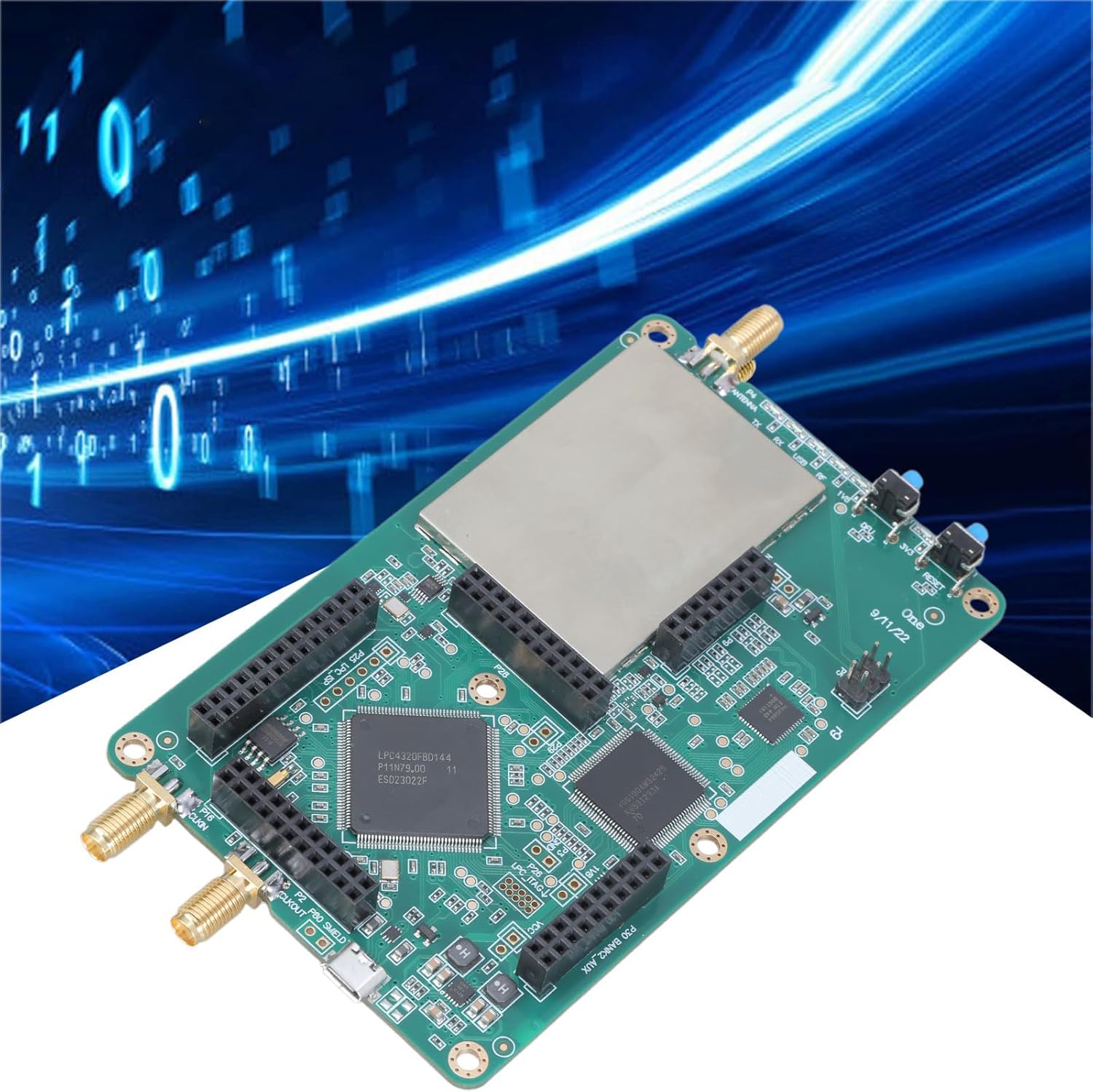 粘土作品】AYU 限定一点物 （No.11 TIGER） 【公式通販】