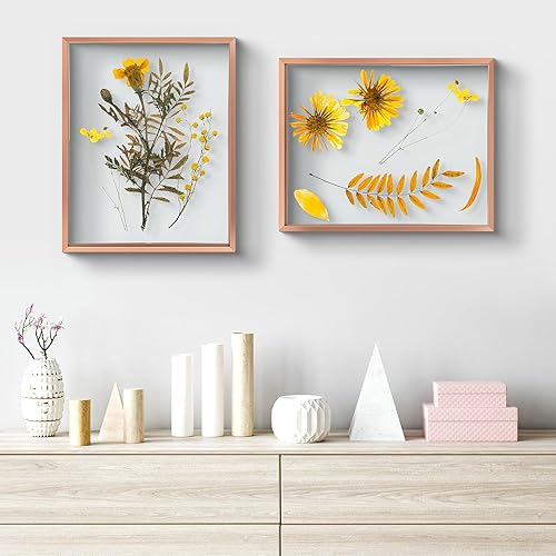 Vista 65 de Frametory, Marco de fotos flotante de 16 x 20 pulgadas, marco de fotos de metal, cristal real, para montaje en pared o mesa (negro, paquete de 2)