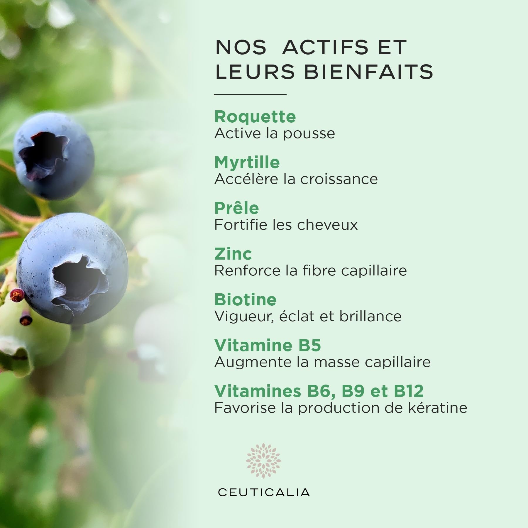 Complément Alimentaire Cheveux - Pousse, Anti Chute, Repousse, Croissance, Brillance, Fortification - Homme, Femme - Biotine, Vitamines, Zinc, Roquette, Myrtille, Prêle - 180 Gélules, 90 Jours