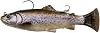 Savage Gear Savage Gear 3 D Pulse Tail Trout Rtf 10 ' Ghost One Size