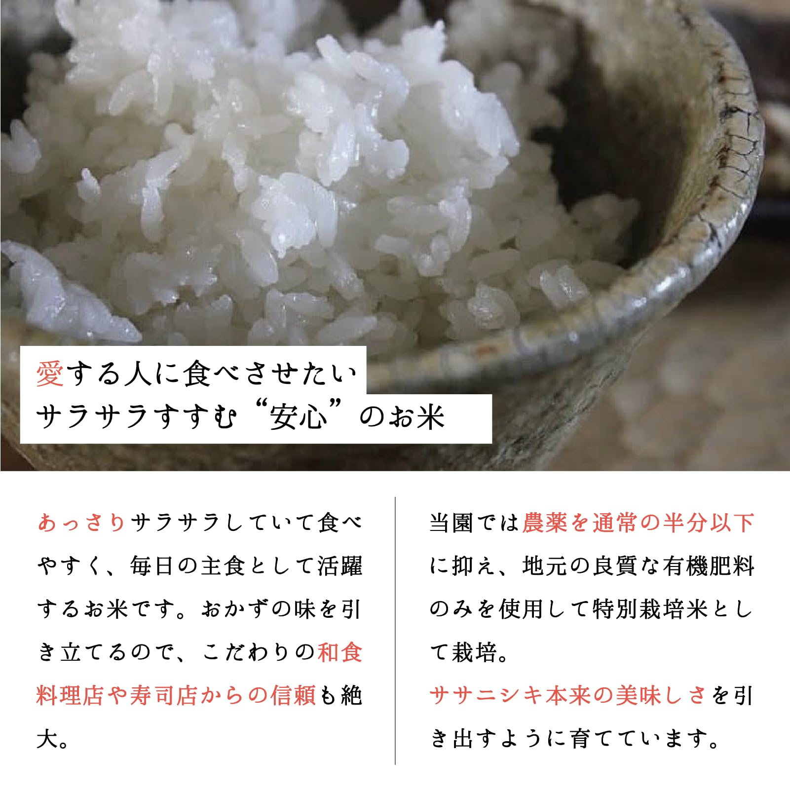 Amazon.co.jp: ササニシキ 宮城県産 白米 10kg 令和7年産 農家直送 単