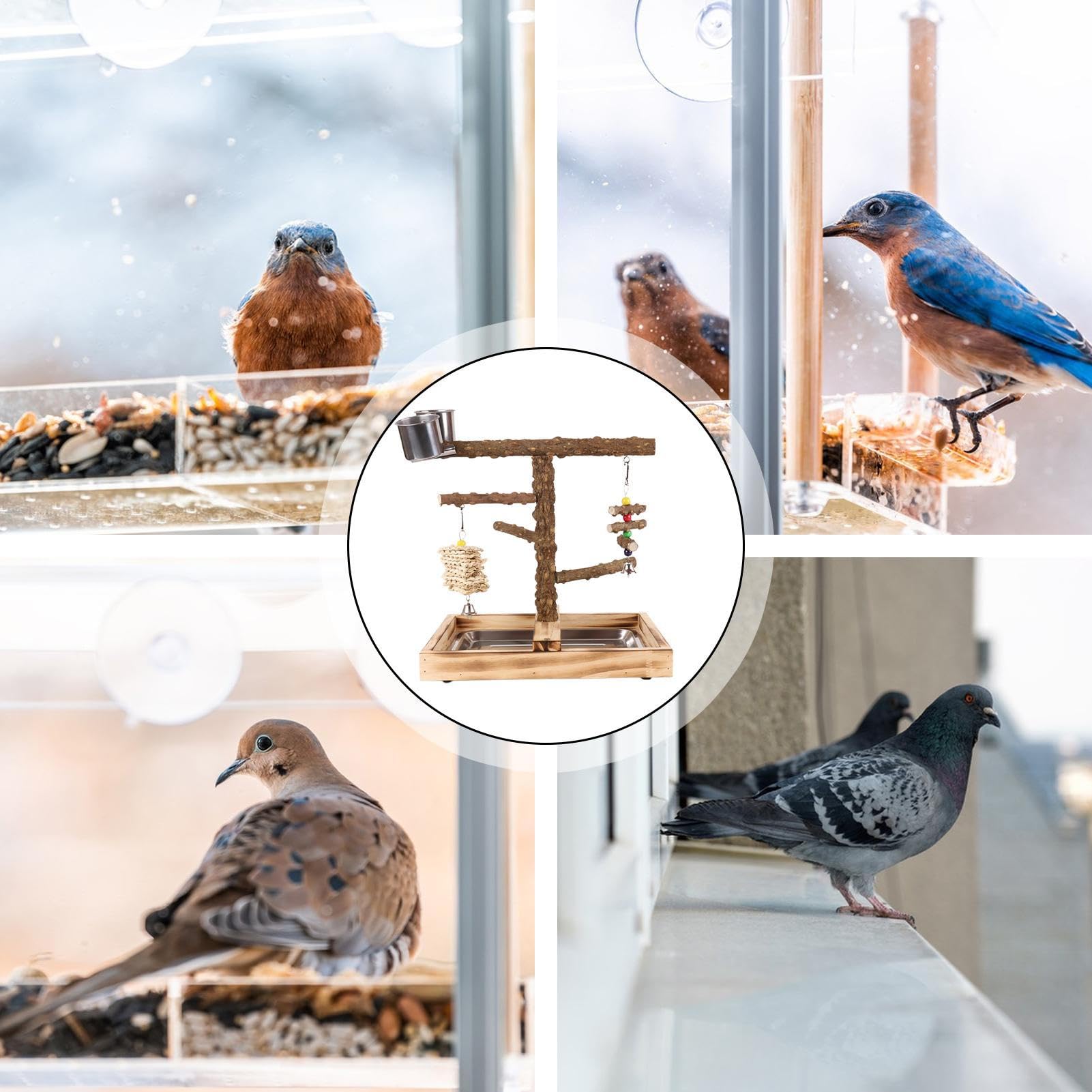 Perchoir Perruche avec Mangeoires Intégrées