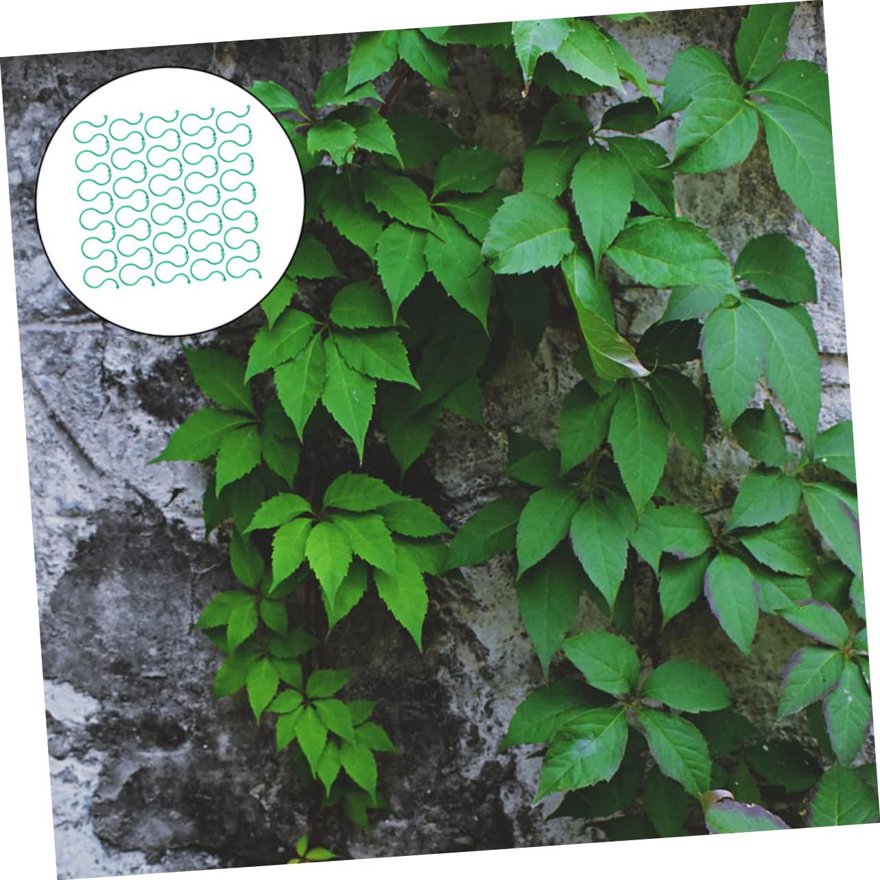 Yardwe 300stücke Pflanzenclips Wiederverwendbare Kunststoff-Clips Zur Pflanzenstütze Robust Und Geruchlos Für Gartenpflanzen Tomaten Und Blumen Zur Unterstützung Von Trieben Kontrolle