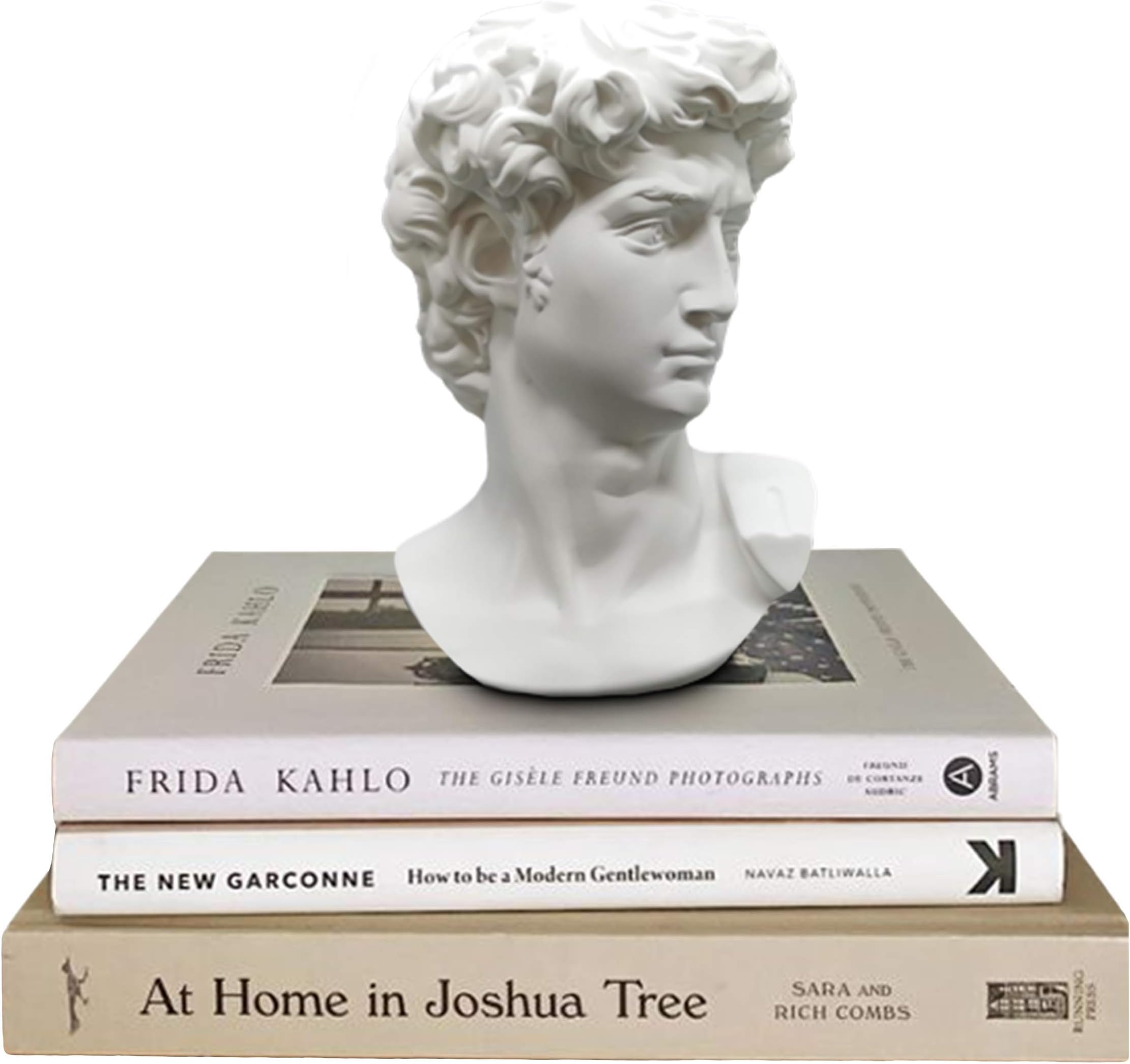 Greek Statue of David - Head Bust for Mythology and Roman Home Decor