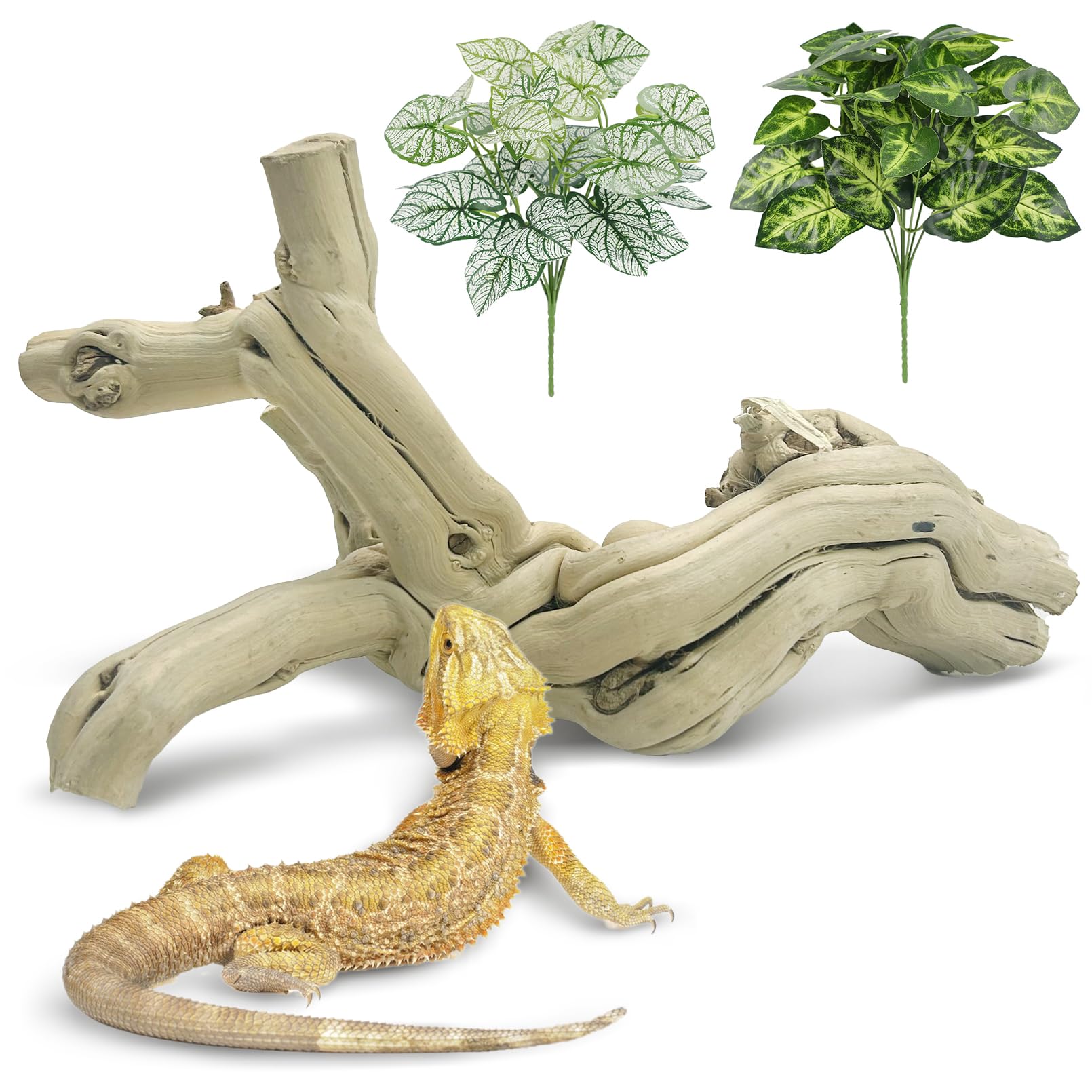 Apatal Reptile Climbing Decor Natural Snake Climb Branch - habitat decor | Mubboo