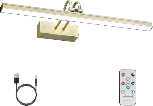 FUNCHDAY Luz de imagen, luces inalámbricas recargables para galería con control remoto, 280 lúmenes, 48 luces LED regulables, luces de arte de 16