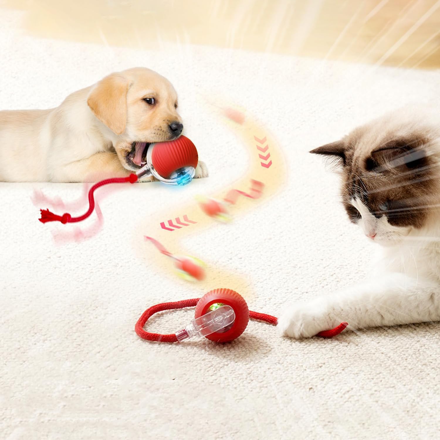 Jouet Interactif Pour Chat, 2 Pièces, Balle électrique, Balle Roulante Interactive, Automatique (rouge + Vert) | Leroy Merlin