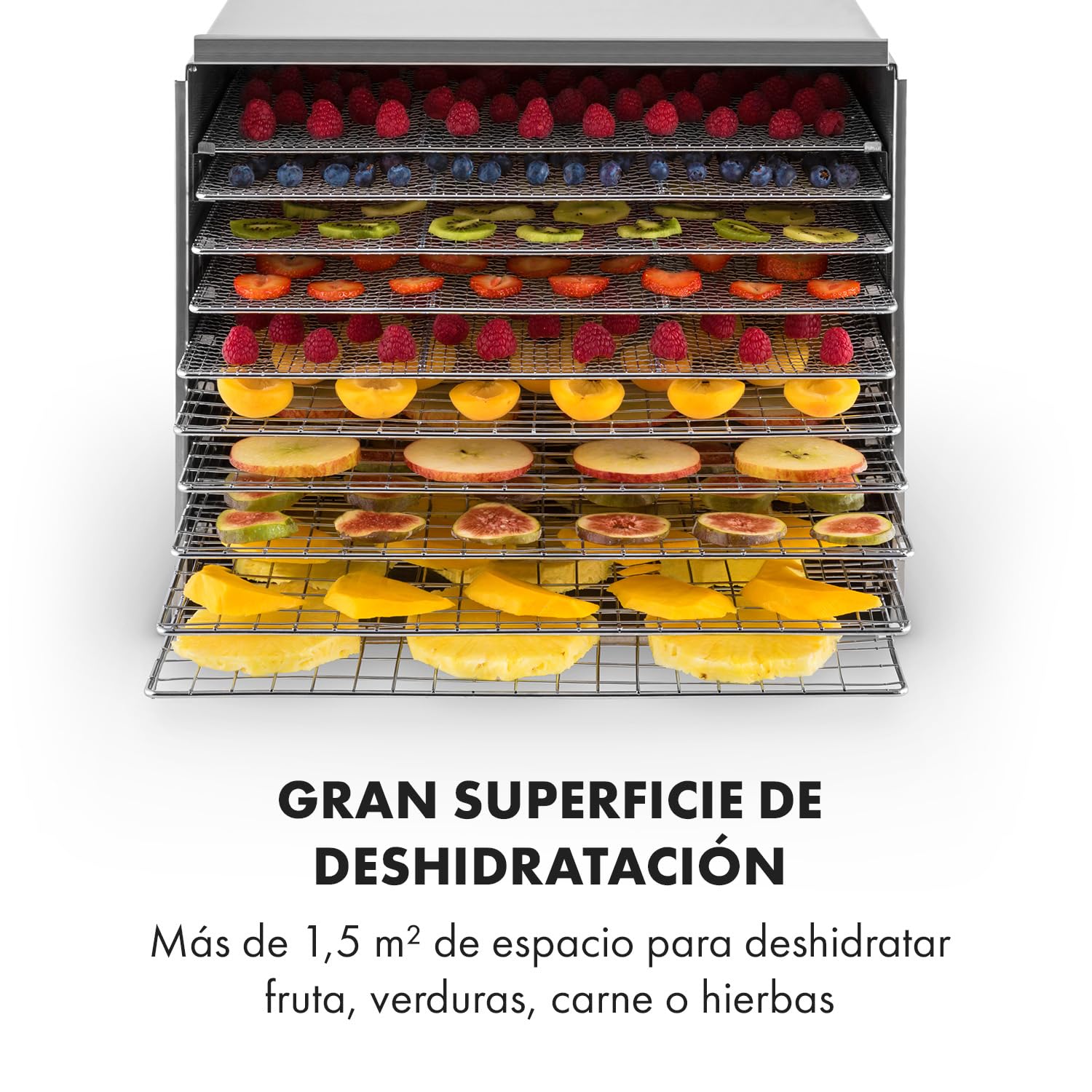Klarstein Fruit Jerky Pro - Deshidratador de alimentos, Extraíble individualmente, Temperatura ajustable, Amplia superficie de secado, Temporizador, Ventilador, 1000 vatios, 10 niveles, plata