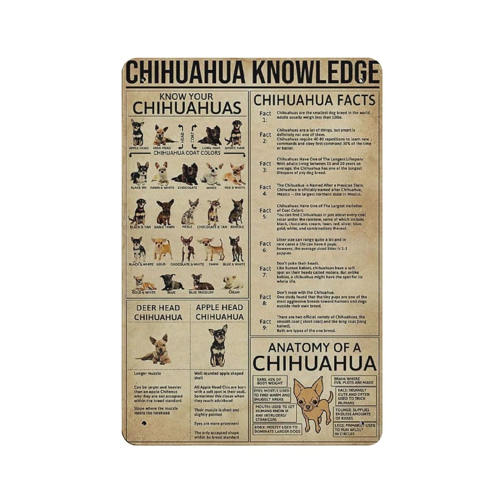 Chihuahua Knowledge Metal Signs, Fun Poster For Bar Kitchen Cafe Farmhouse Wall Decor 12x8 Inch