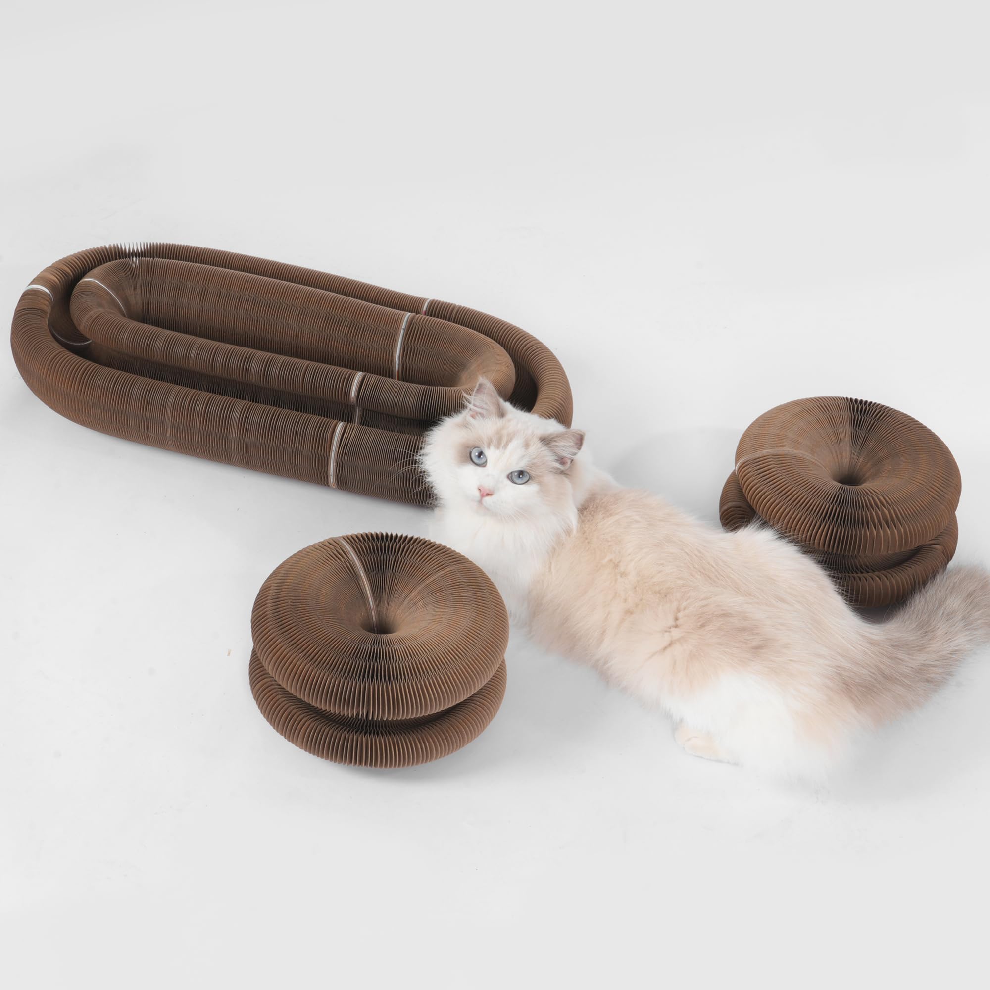 Griffoir pour Chat Magique Organ – Jouet Interactif en Carton avec Balle, Circuit de Jeu Evolutif pour Chatons et Chats d'Intérieur, Puzzle d'Intelligence et Griffoir Pliable