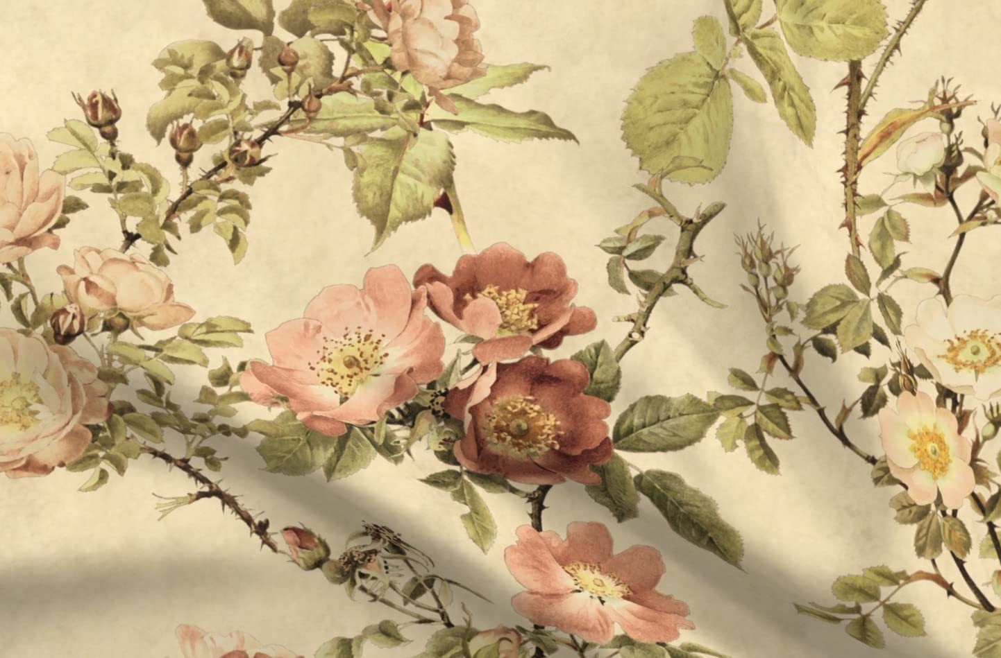 Amazon.com: Spoonflower Fabric - Vintage Botanical Chintz Old