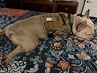 Review Image by S. Smith S. Smith