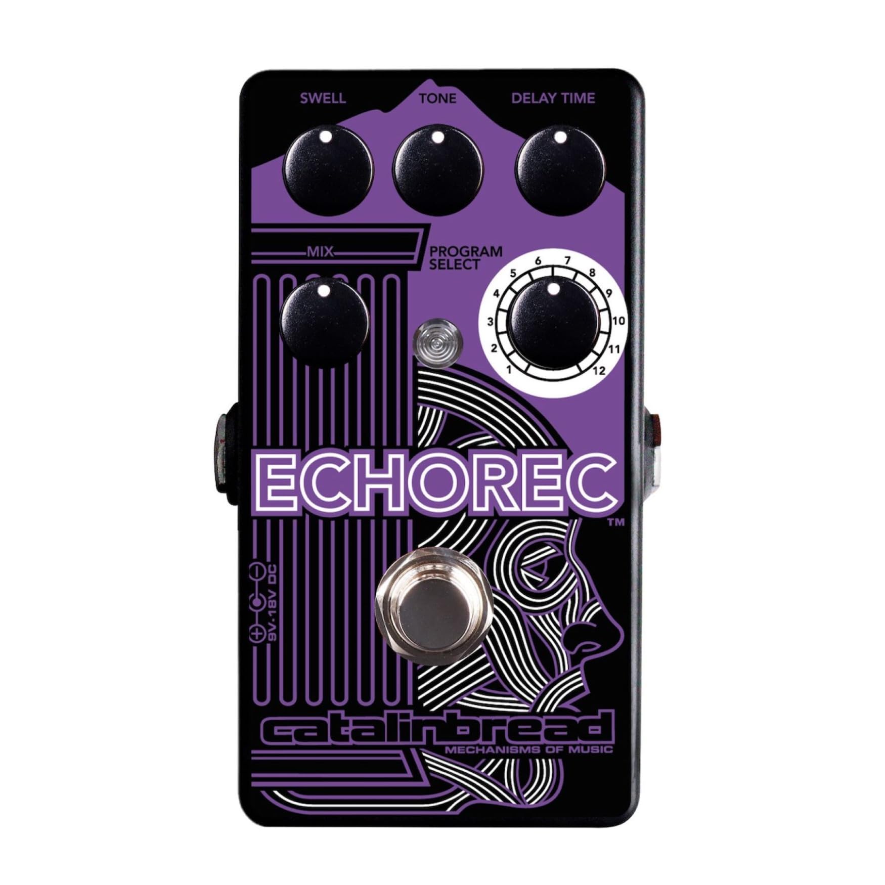 Amazon.com: Catalinbread ECHOREC Multi-Head Delay Guitar Effects