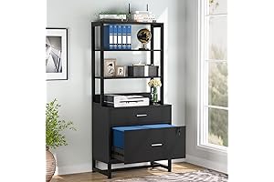 Tribesigns 2-Drawer Vertical File Cabinet with Bookshelf: Enhance Office Functionality and Organization