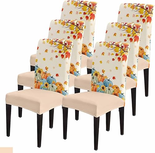 Savannan Juego de 6 fundas para sillas de comedor, diseño de calabaza, girasol, hoja de arce, otoño, elásticas, extraíbles para sillas de cocina,