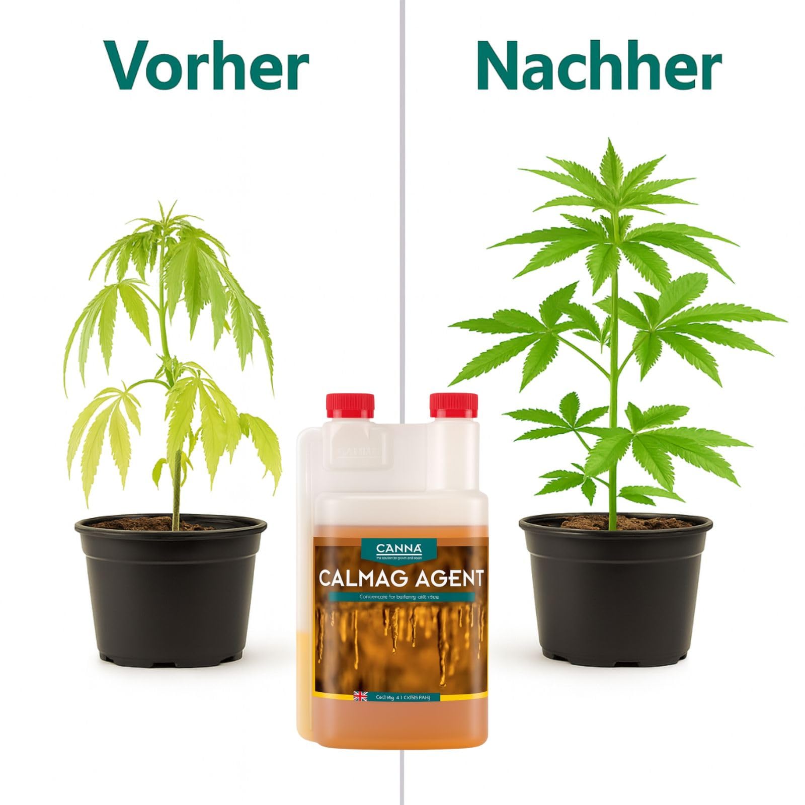 Weedness Canna CALMAG Agent 5 Liter - Naturdünger NPK Dünger Grow Flüssig Bio Organischer Tomaten Gurken