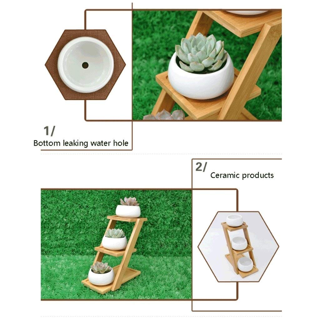 Doniczki na kwiaty prosta nowoczesna ceramiczna biała doniczka, 3 bonsai wysiew (3 stopnie drewniana rama) dekoracja domu ogrodu doniczka