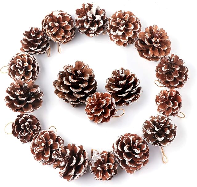 Anstore 30 Pine Cones 4 to 6 cm Snow Christmas Pine Cones Ornament Natural Pine Cones With String Pendant Crafts for Gift Tag Wreaths Garlands Xmas Tree Party Hanging Decoration