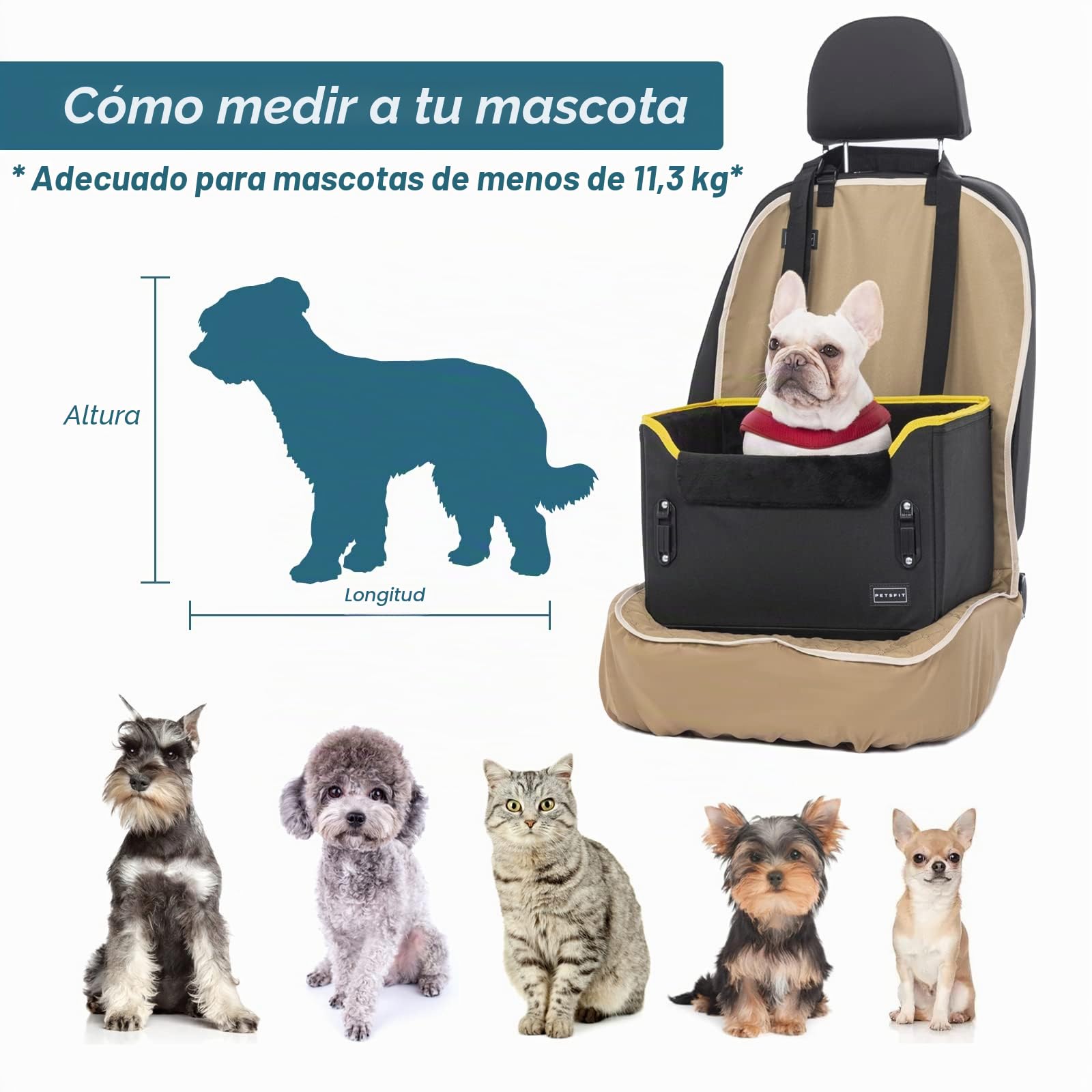 Petsfit Asiento Coche Perro Pequeño Plegable, Bolsa Asiento Elevadora para Coche para Mascotas, para Perros Pequeños