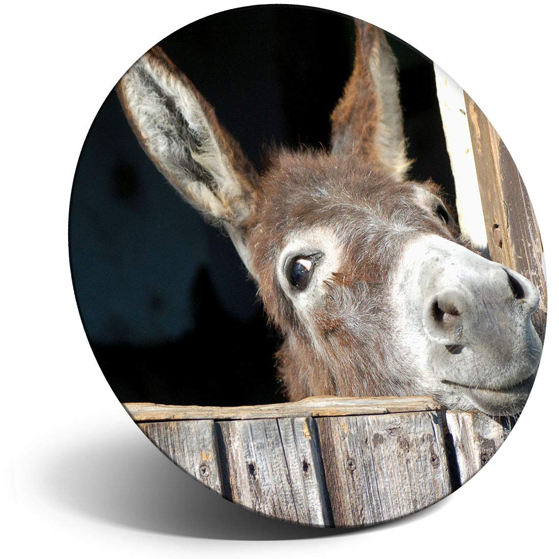 Destination Vinyl Ltd Magnet For Refrigerator, Fridge - Funny Cute Donkey Animal Horse Wild For Office, Cabinet And Whiteboard, Magnetic Stickers, 8260