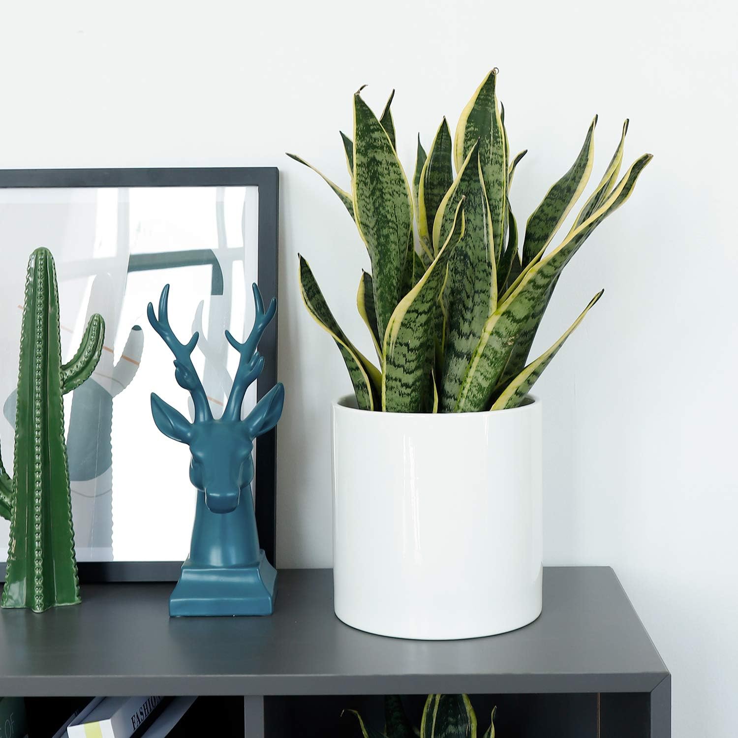 8 Inch Glazed Ceramic Indoor Planter Pot - Modern Large Cylinder Container with Watering Drainage Rubber Plug - Fits Succulents, Flowers or Bonsai