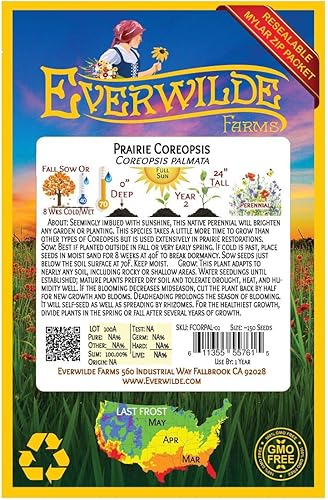 Miniatura 2 de Everwilde Farms - 40 semillas de flores silvestres nativas de Prairie Coreopsis - Paquete de semillas jumbo Gold Vault