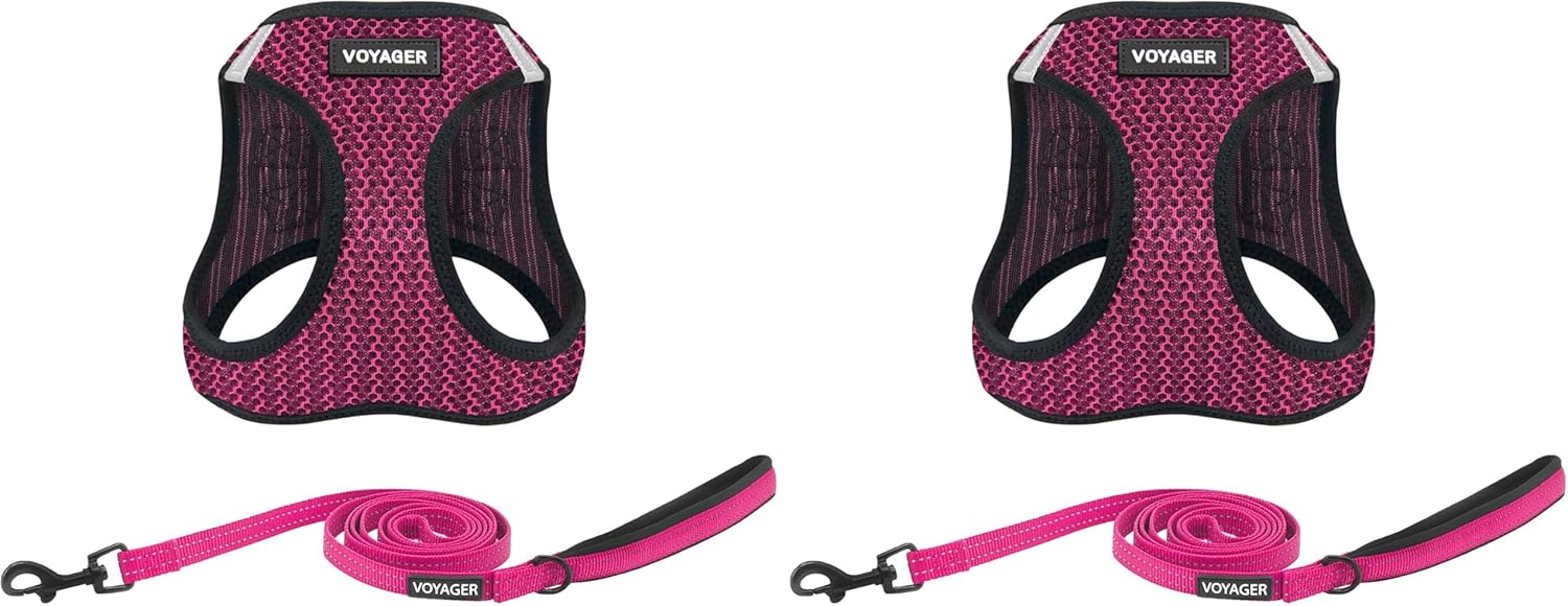 Voyager Step-in Air All Weather Mesh Harness and Reflective Dog 5 ft Leash Combo with Neoprene Handle, for Small, Medium and Large Breed Puppies by Best Pet Supplies - Fuchsia (Leash Bundle), L