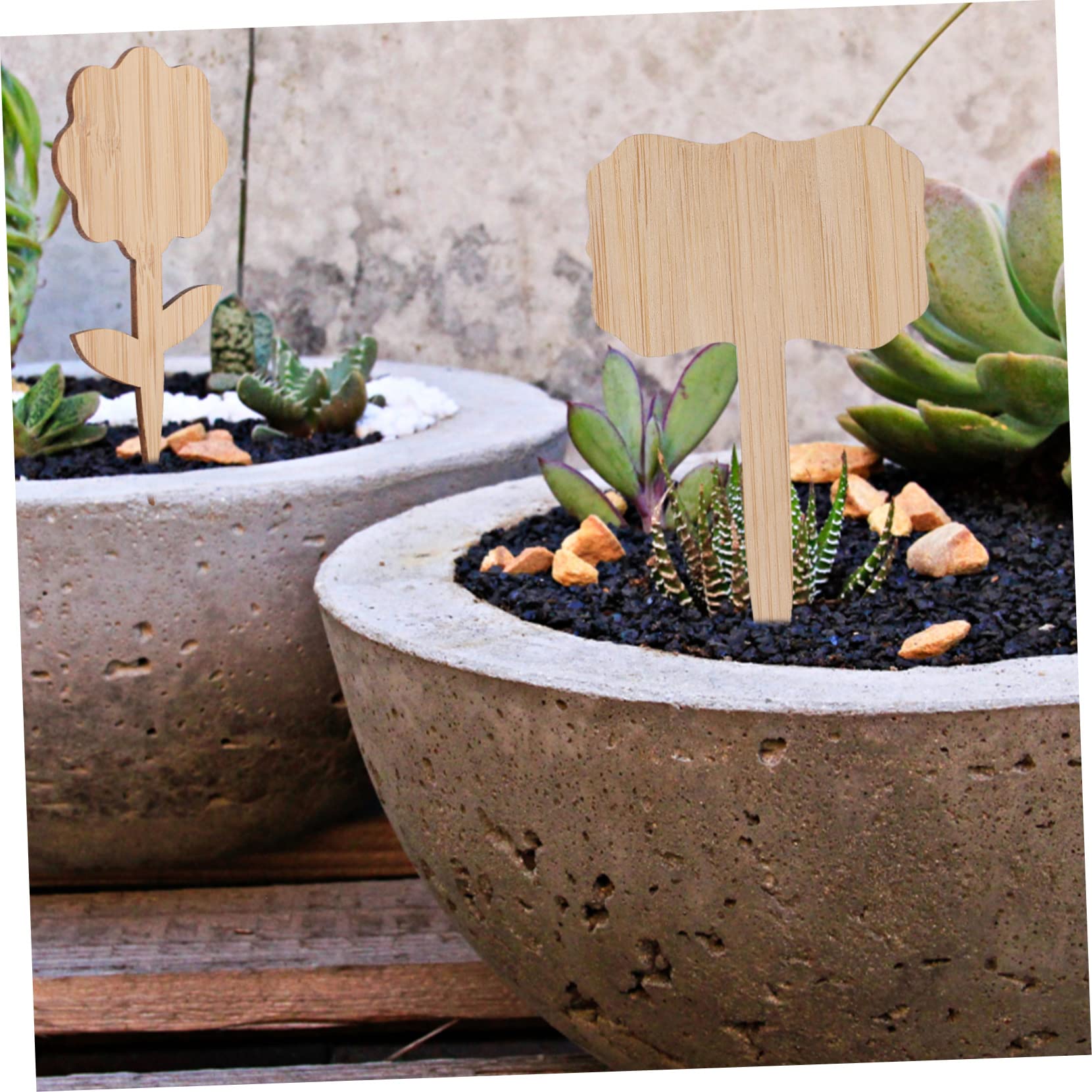 Kisangel 4 Ensembles Marqueurs De Plantes En Bambou Étiquettes De Fleurs De Jardin Étiquettes De Plantes Succulentes Étiquettes De Pots Étiquettes De es es 40 pièces * 4