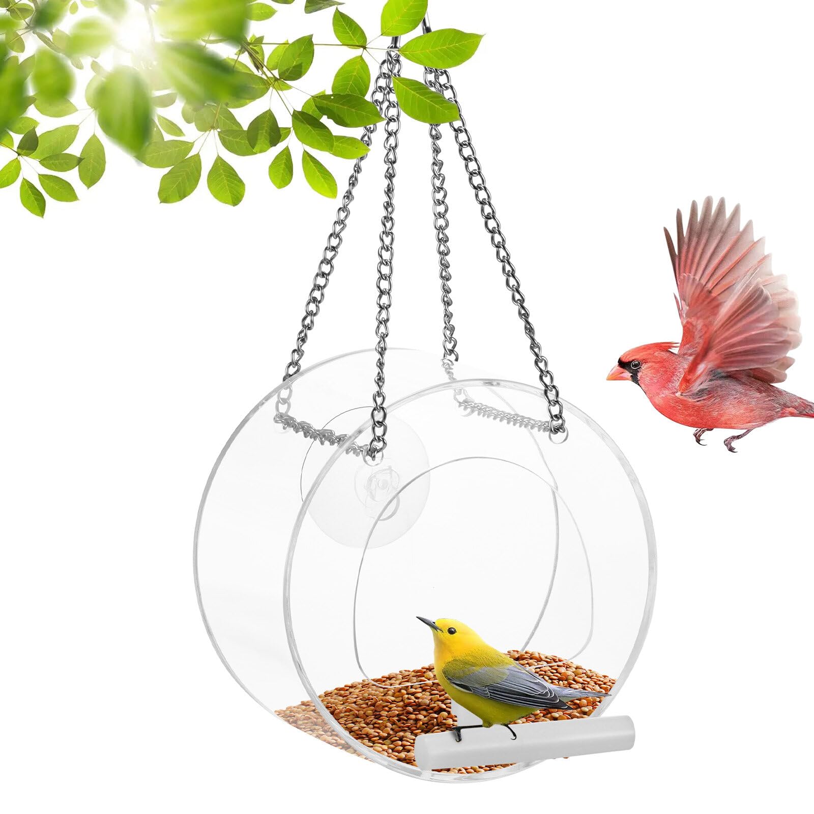 Mangiatoia Uccelli Da Finestra Con Ventose - Mangiatrice Trasparente Per Piccoli Uccelli | 25x15.5 Cm - Foto 14