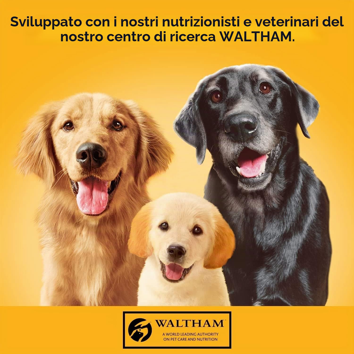 Pedigree Barattolo con 3 varietà: manzo, agnello e pollo 12 x 400 g, cibo per cani, cibo umido, cibo in scatola