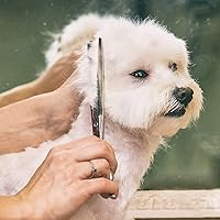 Vista 16 de Gimars 4CR - Tijeras 6 en 1 de acero inoxidable de aseo para mascotas, para perros, gatos y otros animales, resistentes con revestimiento de titanio.