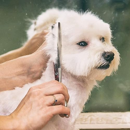 Miniatura 16 de Gimars 4CR - Tijeras 6 en 1 de acero inoxidable de aseo para mascotas, para perros, gatos y otros animales, resistentes con revestimiento de titanio.