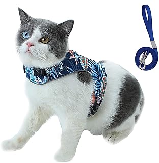 Amazon Fr Harnais Pour Chats