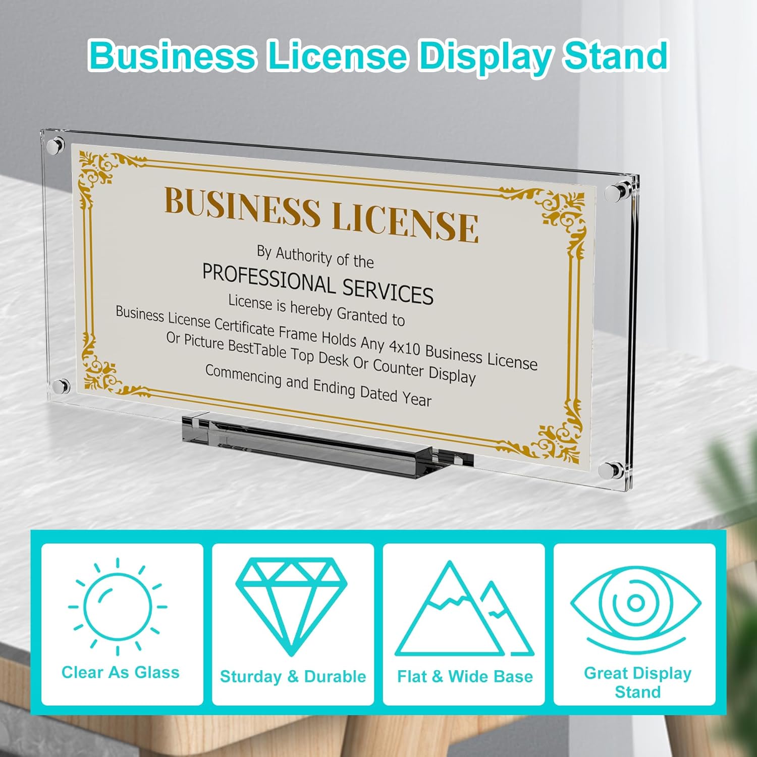 Acrylic Busin License Display Fre, 10 inch 1PC Clear Display