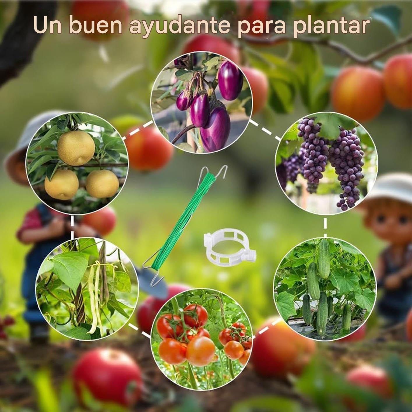 Gancio Da Pomodori con Corda e Clip Resistenti | 40 Pezzi Ganci da per Piante Rampicanti Per Cetrioli, Frutta, Colture, Interno Ed Esterno, Giardino, Fattoria, Patio, Serra