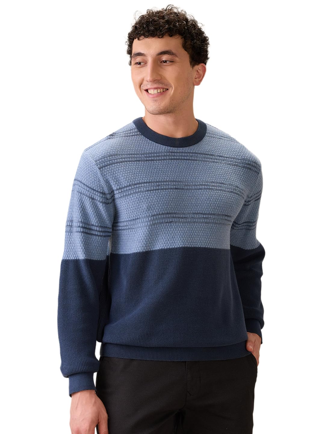 colorplus Men Full Sleeve Regular Fit Jacquard Pattern Pure Cotton Round Neck Round Neck Casual Winter Wear-picture-11