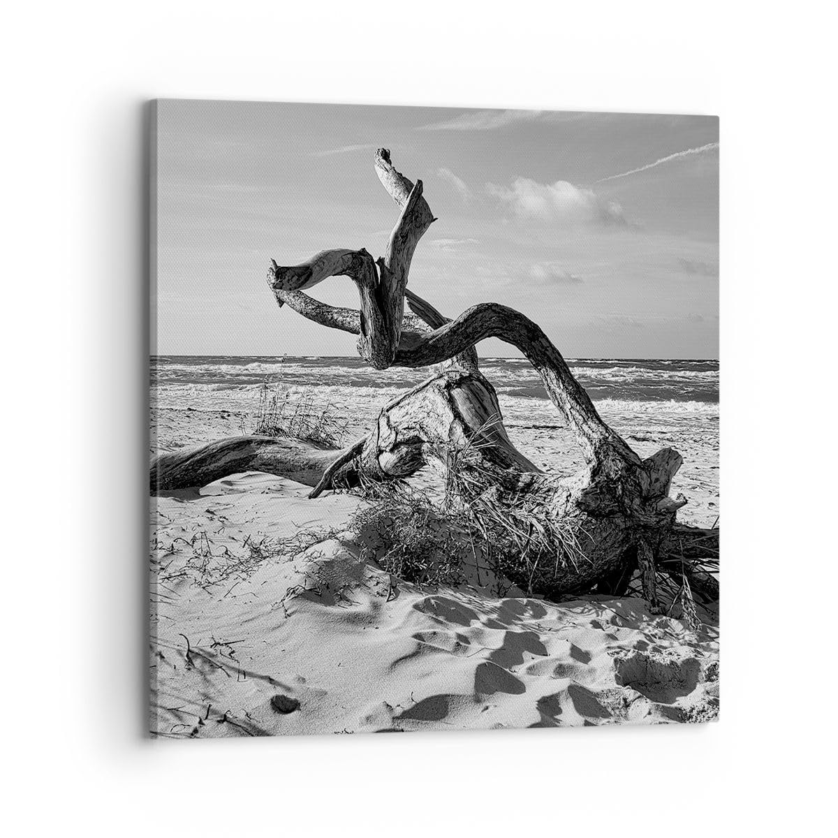 Stampe da Parete 70x70 cm Quadro su Tela Bianco e Nero Paesaggi - 5518