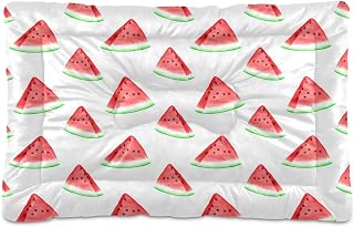 Watermelon Washable Dog Bed Anti-Slip Dog Crate Bed Pet Beds Sleeping Mat for Large, Medium, Small Pets 18x24in