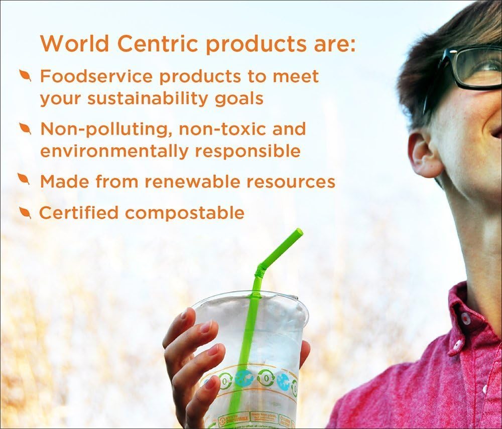 World Centric Sustainable Kraft Paper Straws, Wrapped, 8", Natural, 6,000/carton